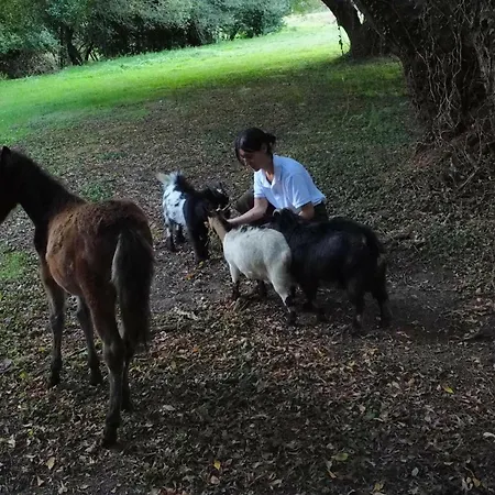 O Recuncho Do Sor Porto do Barqueiro